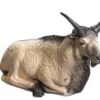 WILD LIFE 3D TARGET – POLAR GOAT (GROUP1)