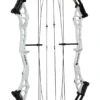 KINETIC STATIC COMPOUND BOW