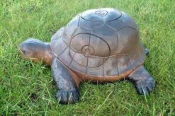 WILD LIFE 3D TARGET – TURTLE (GROUP4)