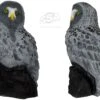WILD LIFE 3D TARGET – BARN OWL (GROUP4)