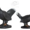 WILD LIFE 3D TARGET – CAPERCAILLIE (GROUP3)