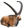 WILD LIFE 3D TARGET – CAPRICORN (GROUP1)