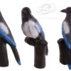 BEIER 3D TARGET – MAGPIE (GROUP4)