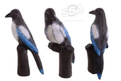 BEIER 3D TARGET – MAGPIE (GROUP4)