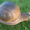 WILD LIFE 3D TARGET – LAND SNAIL (GROUP4)