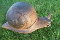 WILD LIFE 3D TARGET – LAND SNAIL (GROUP4)