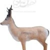 WILD LIFE 3D TARGET – ROEDEER ALERTED (GROUP3)