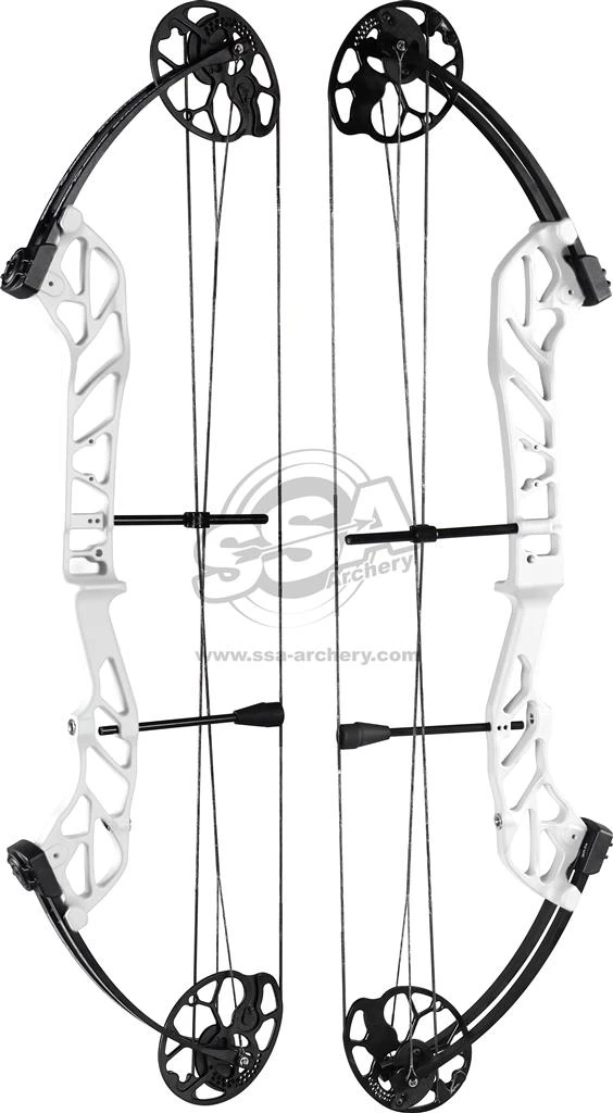 TOPOINT STARTING 36 COMPOUND BOW PACKAGE RH 3 TOPOINT STARTING 36 COMPOUND BOW PACKAGE RH - Image 3