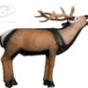 WILD LIFE 3D TARGET – DEER BELLING (GROUP1)