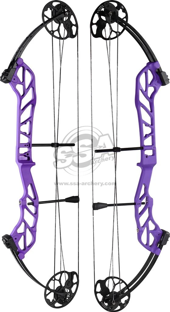 TOPOINT STARTING 36 COMPOUND BOW PACKAGE RH 7 TOPOINT STARTING 36 COMPOUND BOW PACKAGE RH - Image 7