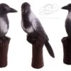 BEIER 3D TARGET – HOODED CROW (GROUP4)