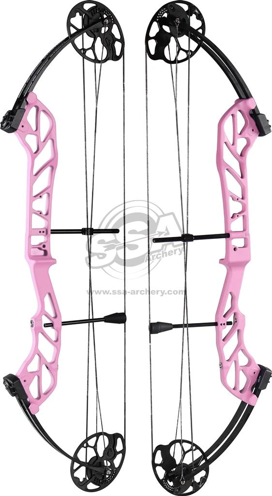 TOPOINT STARTING 36 COMPOUND BOW PACKAGE RH 13 TOPOINT STARTING 36 COMPOUND BOW PACKAGE RH - Image 13